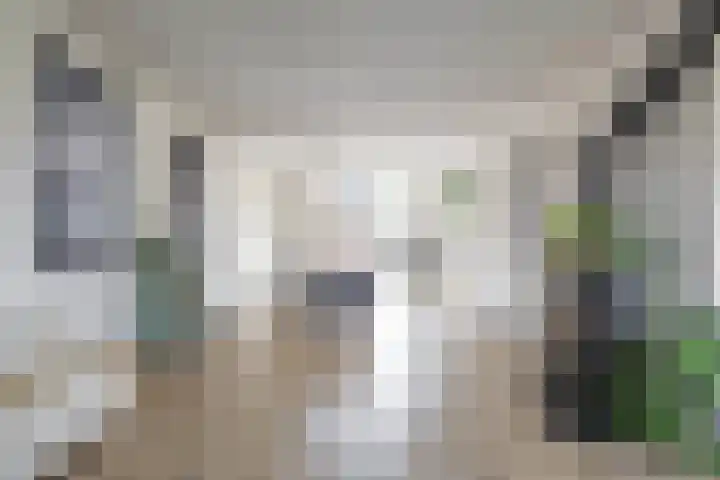 Dwarsakkers 7 Eext thumbnail 16