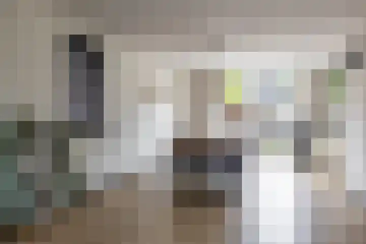 Dwarsakkers 7 Eext thumbnail 17