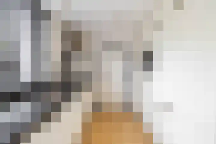 Dwarsakkers 7 Eext thumbnail 20