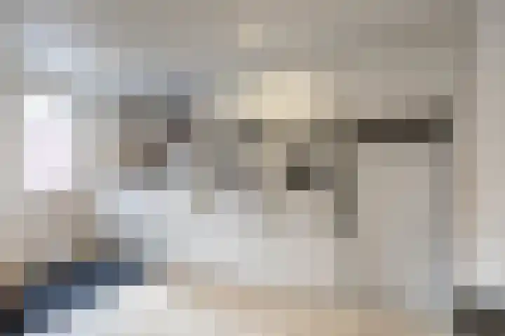 Dwarsakkers 7 Eext thumbnail 25