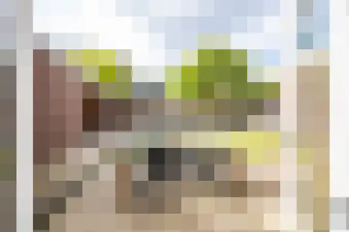Dwarsakkers 7 Eext thumbnail 27