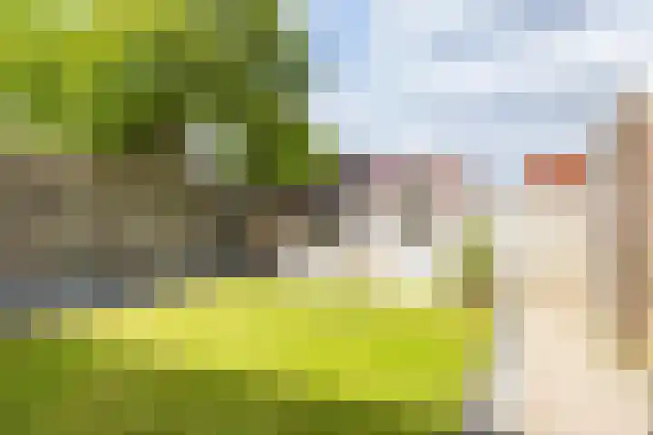 Dwarsakkers 7 Eext thumbnail 28
