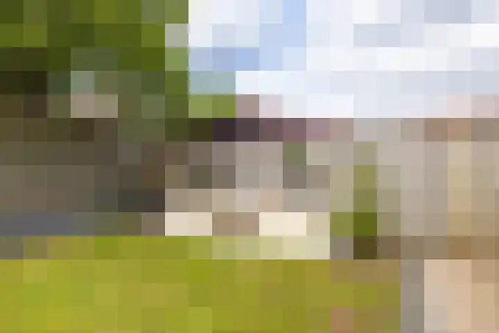 Dwarsakkers 7 Eext thumbnail 30