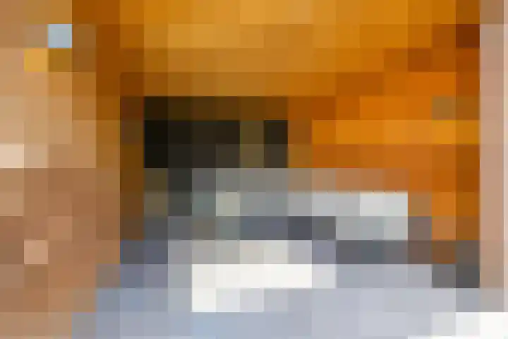 Dwarsakkers 7 Eext thumbnail 32
