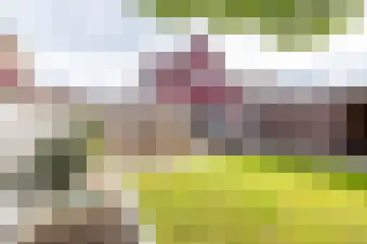 Dwarsakkers 7 Eext thumbnail 35