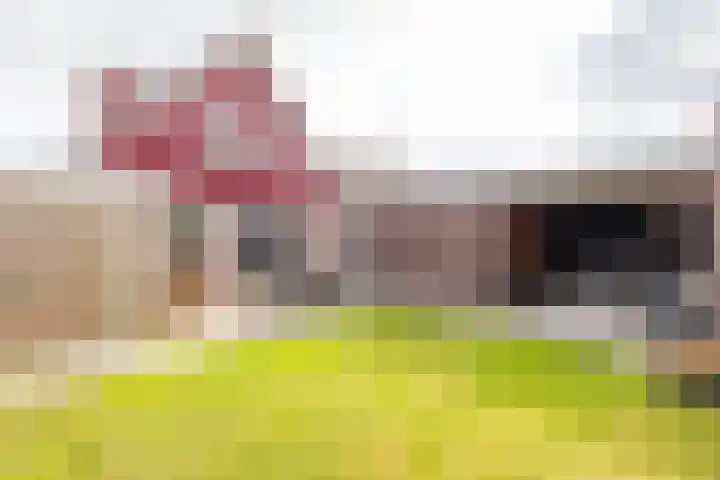 Dwarsakkers 7 Eext thumbnail 36