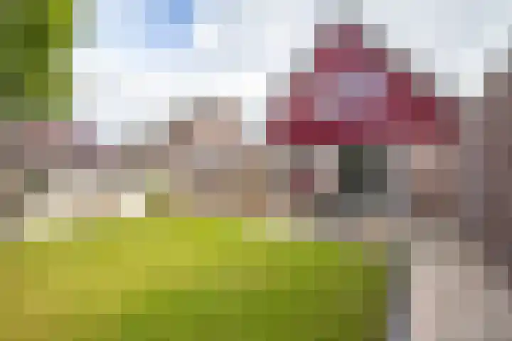 Dwarsakkers 7 Eext thumbnail 40