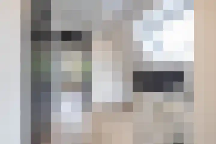 Dwarsakkers 7 Eext thumbnail 41