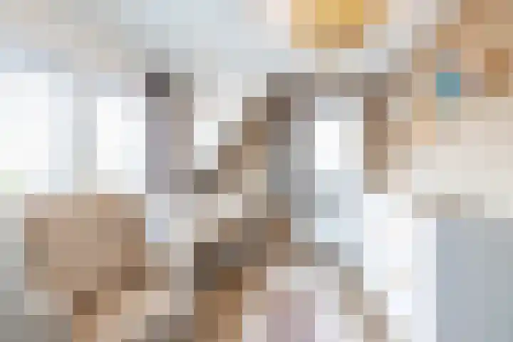 Dwarsakkers 7 Eext thumbnail 49