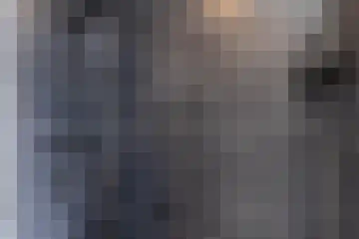 Dwarsakkers 7 Eext thumbnail 54