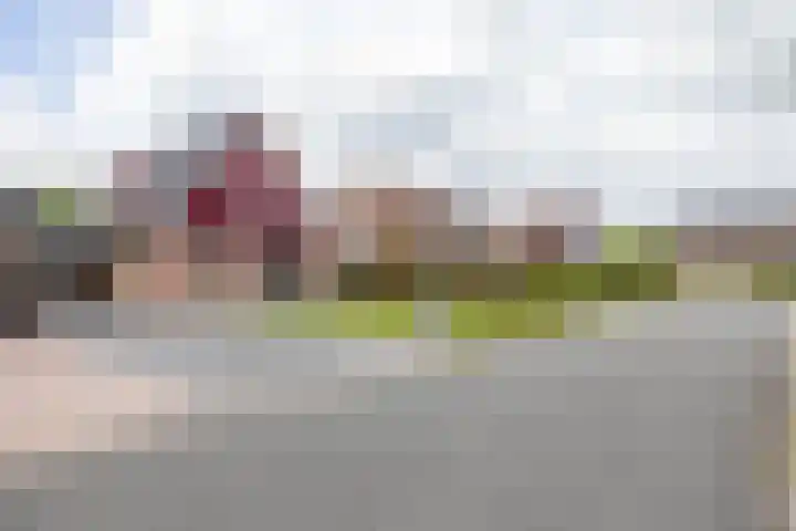 Dwarsakkers 7 Eext thumbnail 56