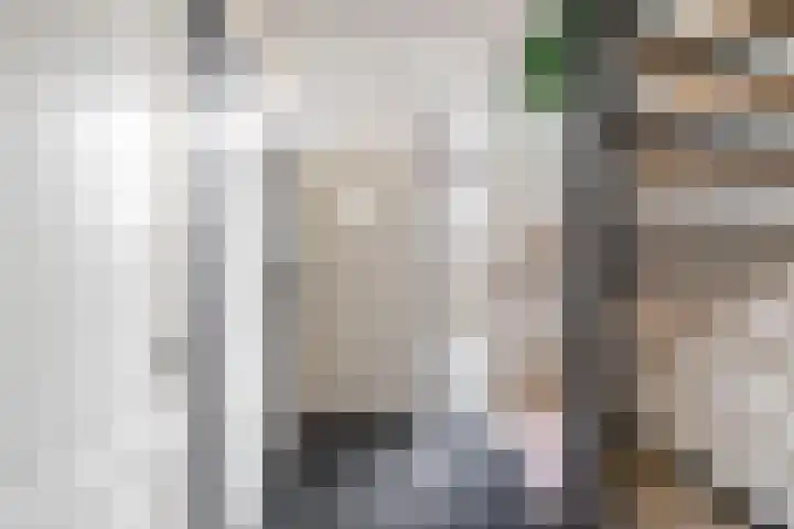 Dwarsakkers 7 Eext thumbnail 7