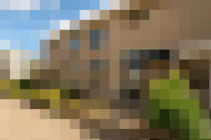 Dwarsdijk 28 Breda thumbnail 33
