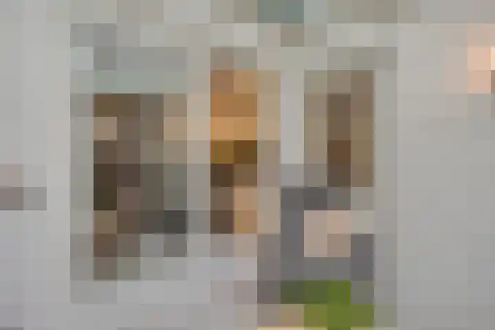 Dwarsewei 7 Goes thumbnail 14