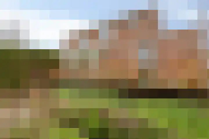 Dwarsewei 7 Goes thumbnail 31