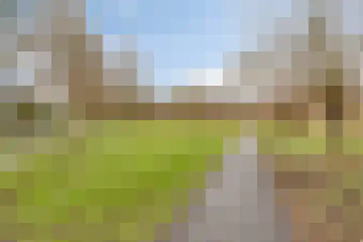 Dwarsewei 7 Goes thumbnail 36