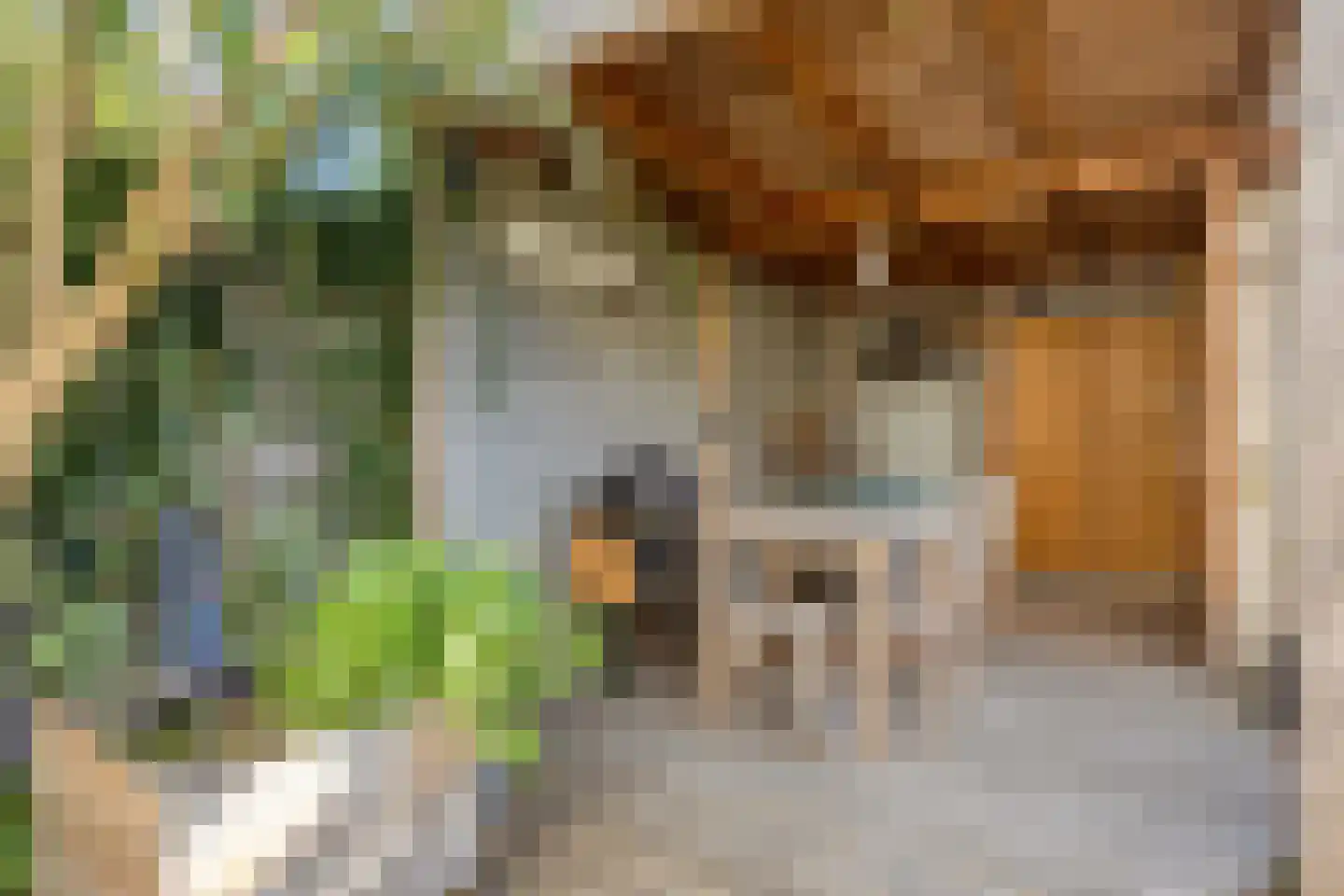 Dwarsfluitstraat 24 Almere thumbnail 32
