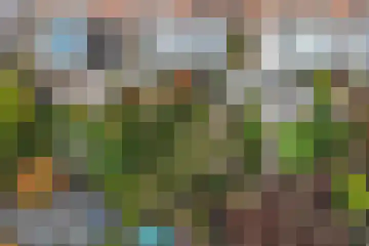 Dwarsfluitstraat 7 Uden thumbnail 31