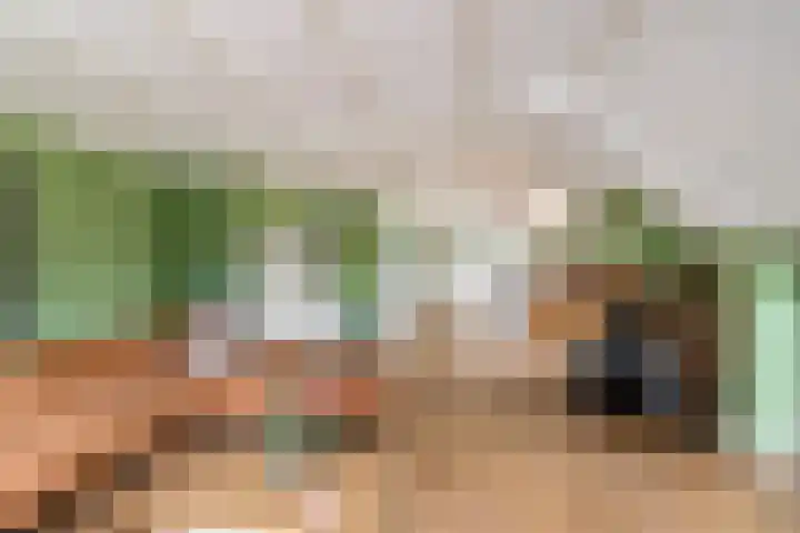 Dwarshaspel 5 Zevenhuizen thumbnail 10