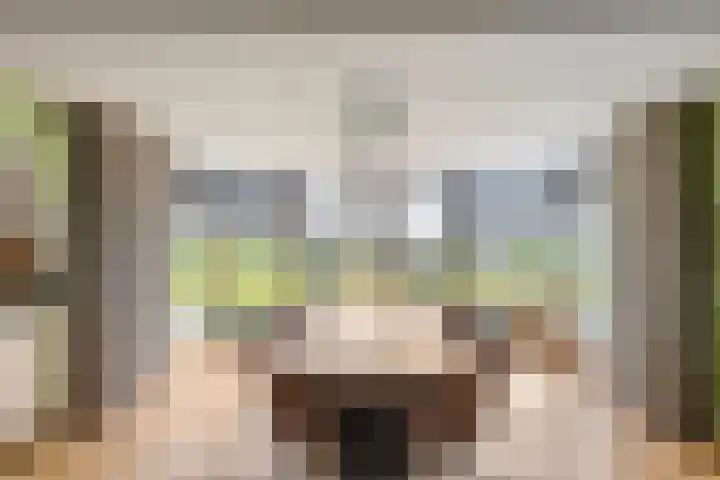 Dwarshaspel 5 Zevenhuizen thumbnail 13
