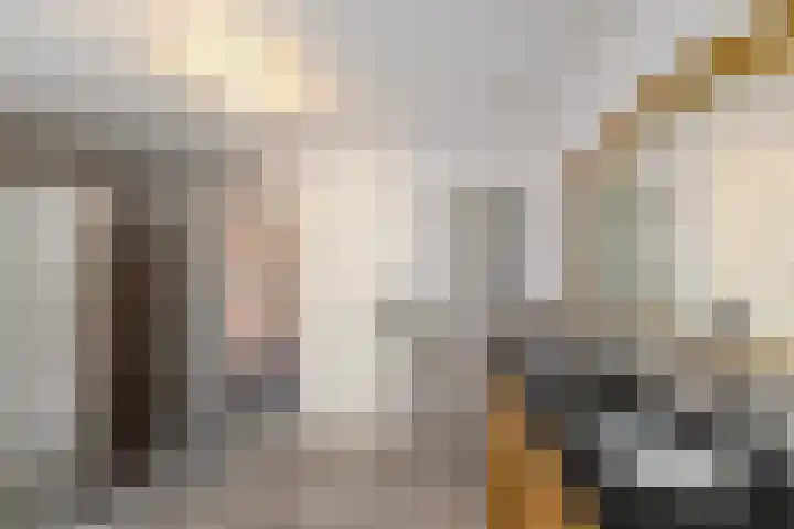 Dwarshaspel 5 Zevenhuizen thumbnail 16