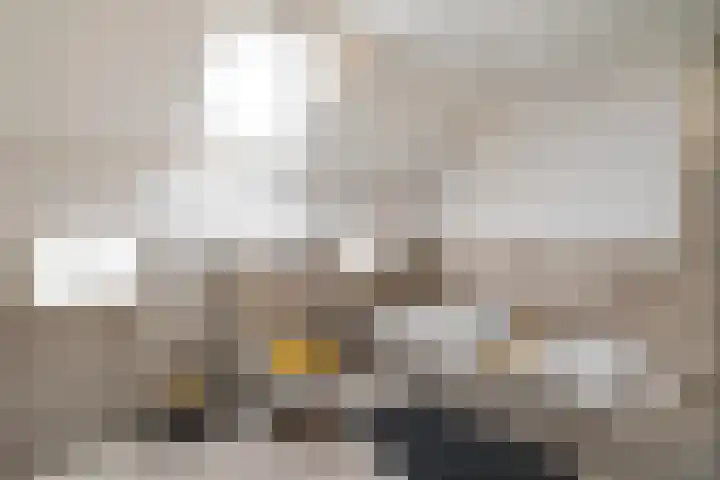 Dwarshaspel 5 Zevenhuizen thumbnail 17