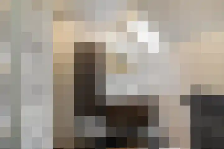 Dwarshaspel 5 Zevenhuizen thumbnail 23
