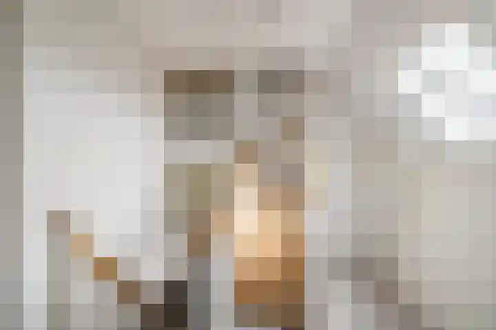 Dwarshaspel 5 Zevenhuizen thumbnail 30