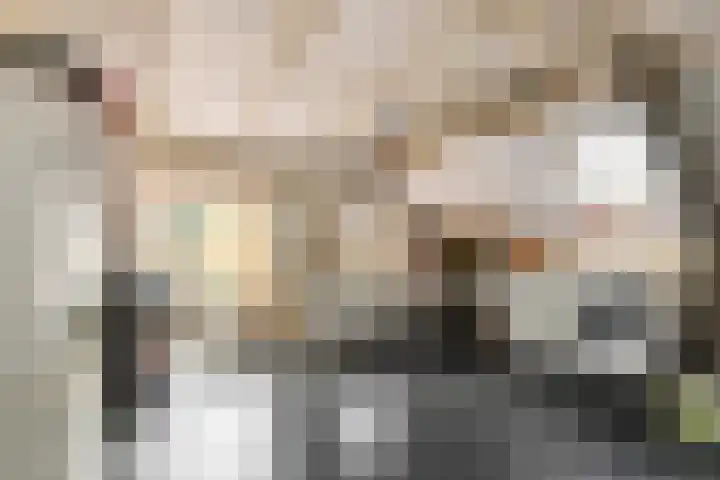 Dwarshaspel 5 Zevenhuizen thumbnail 38