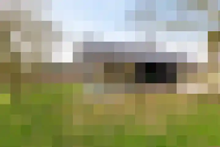 Dwarshaspel 5 Zevenhuizen thumbnail 46