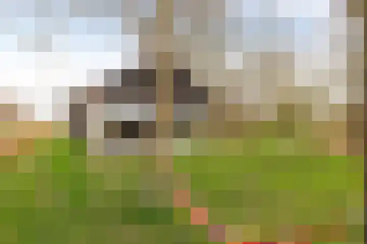 Dwarshaspel 5 Zevenhuizen thumbnail 47