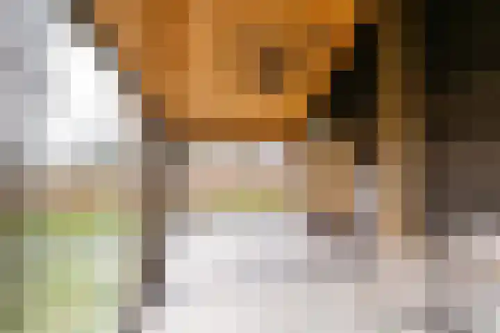 Dwarshaspel 5 Zevenhuizen thumbnail 48