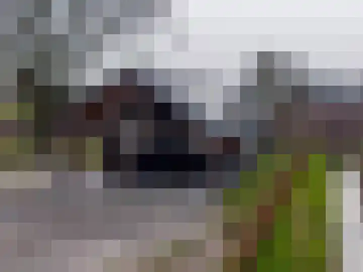 Dwarshaspel 5 Zevenhuizen thumbnail 66