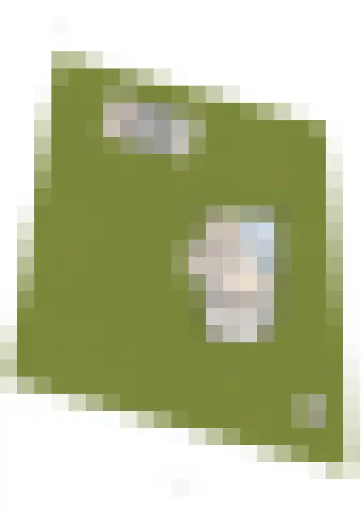Dwarshaspel 5 Zevenhuizen thumbnail 77