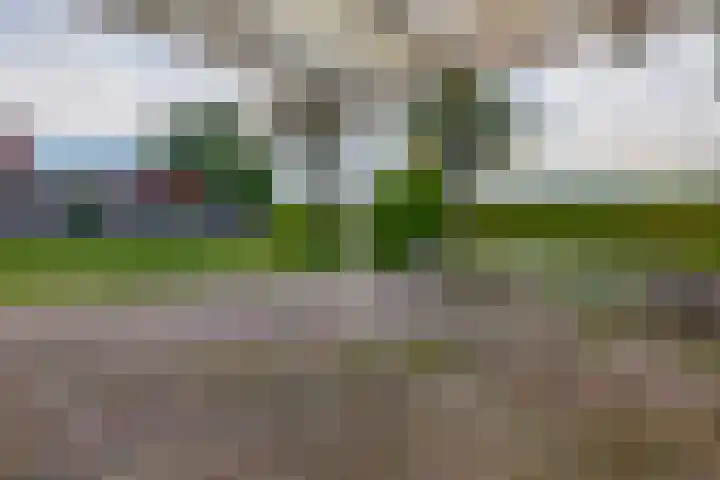 Dwarslaan 7 Scheemda thumbnail 28