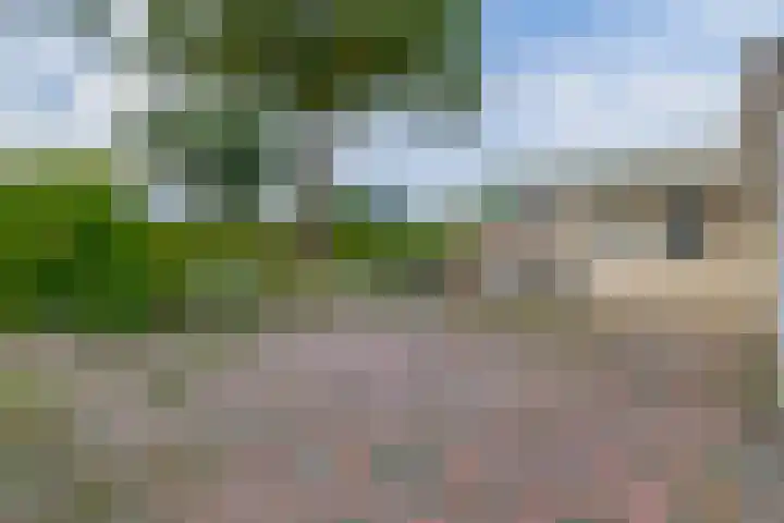 Dwarslaan 7 Scheemda thumbnail 30