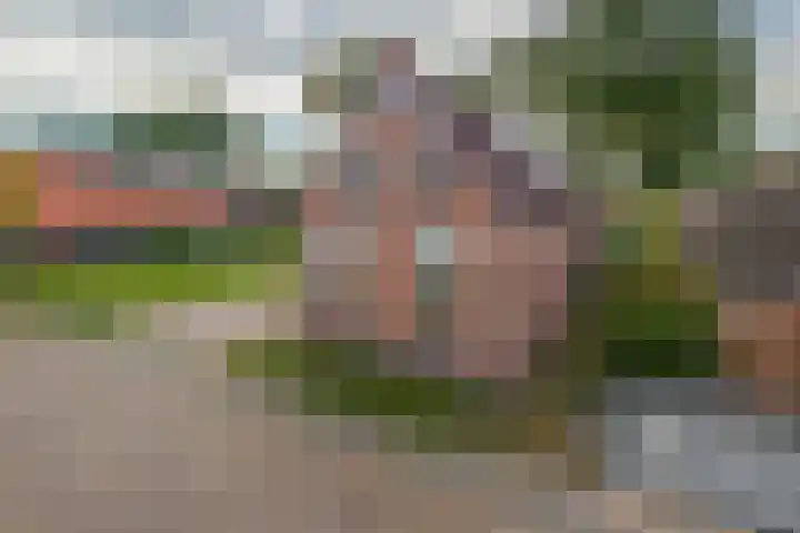 Dwarslaan 7 Scheemda thumbnail 36