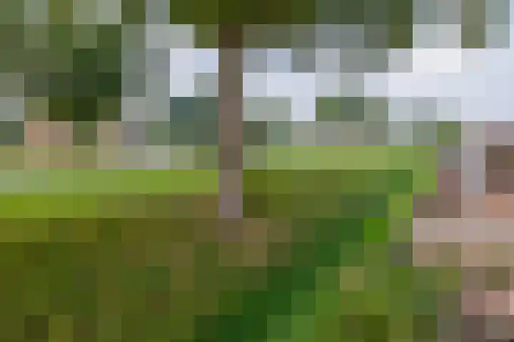 Dwarslaan 7 Scheemda thumbnail 39