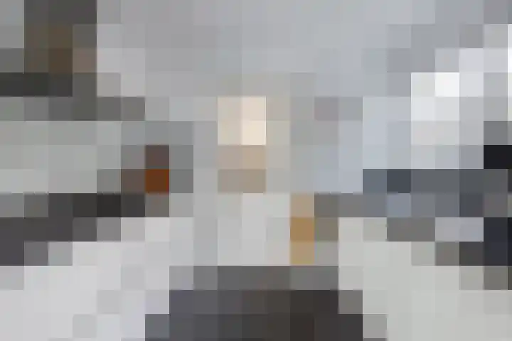 Dwarsnoard 51 Workum thumbnail 16