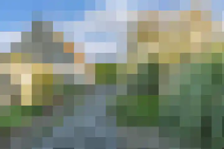 Dwarsnoard 51 Workum thumbnail 24