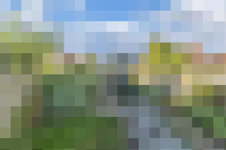 Dwarsnoard 51 Workum thumbnail 28