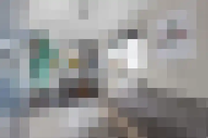 Dwarsnoard 51 Workum thumbnail 37