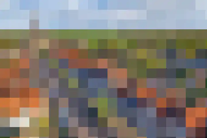 Dwarsnoard 51 Workum thumbnail 46