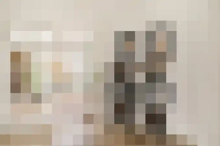 Dwarsreed 2 De Westereen thumbnail 10