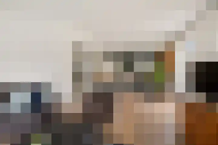 Dwarsreed 2 De Westereen thumbnail 14