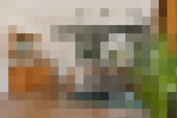 Dwarsreed 2 De Westereen thumbnail 16