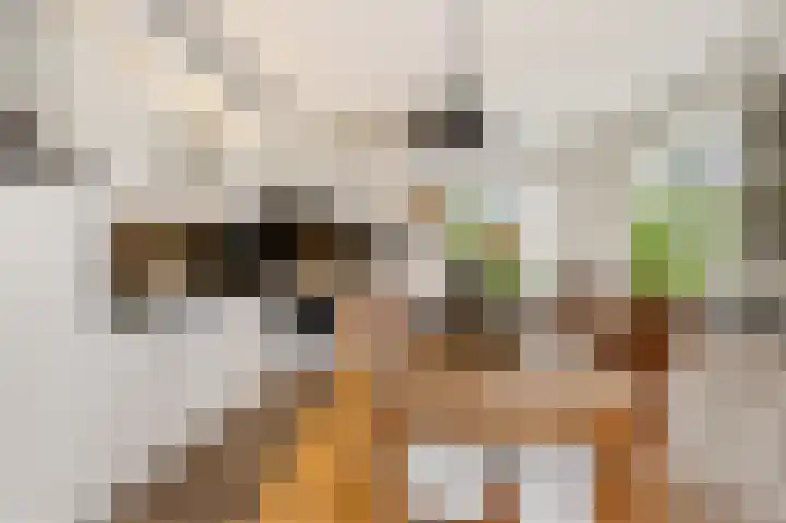 Dwarsreed 2 De Westereen thumbnail 21