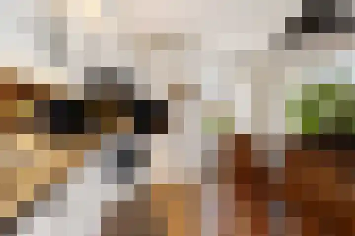 Dwarsreed 2 De Westereen thumbnail 22
