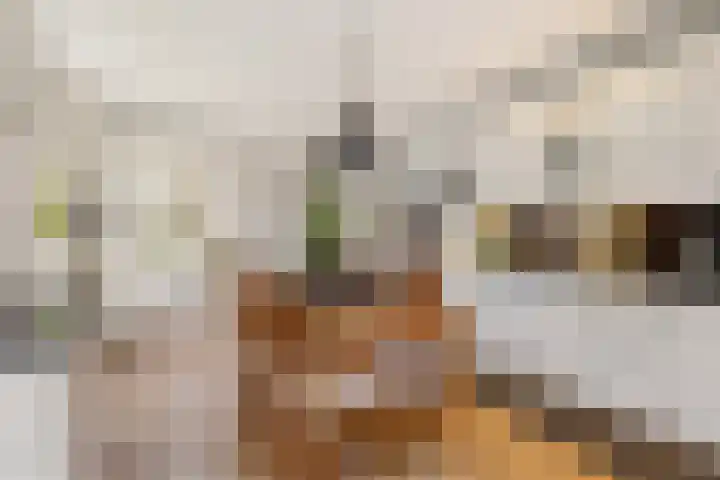 Dwarsreed 2 De Westereen thumbnail 23