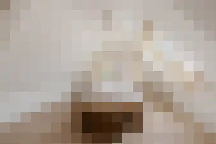 Dwarsreed 2 De Westereen thumbnail 25